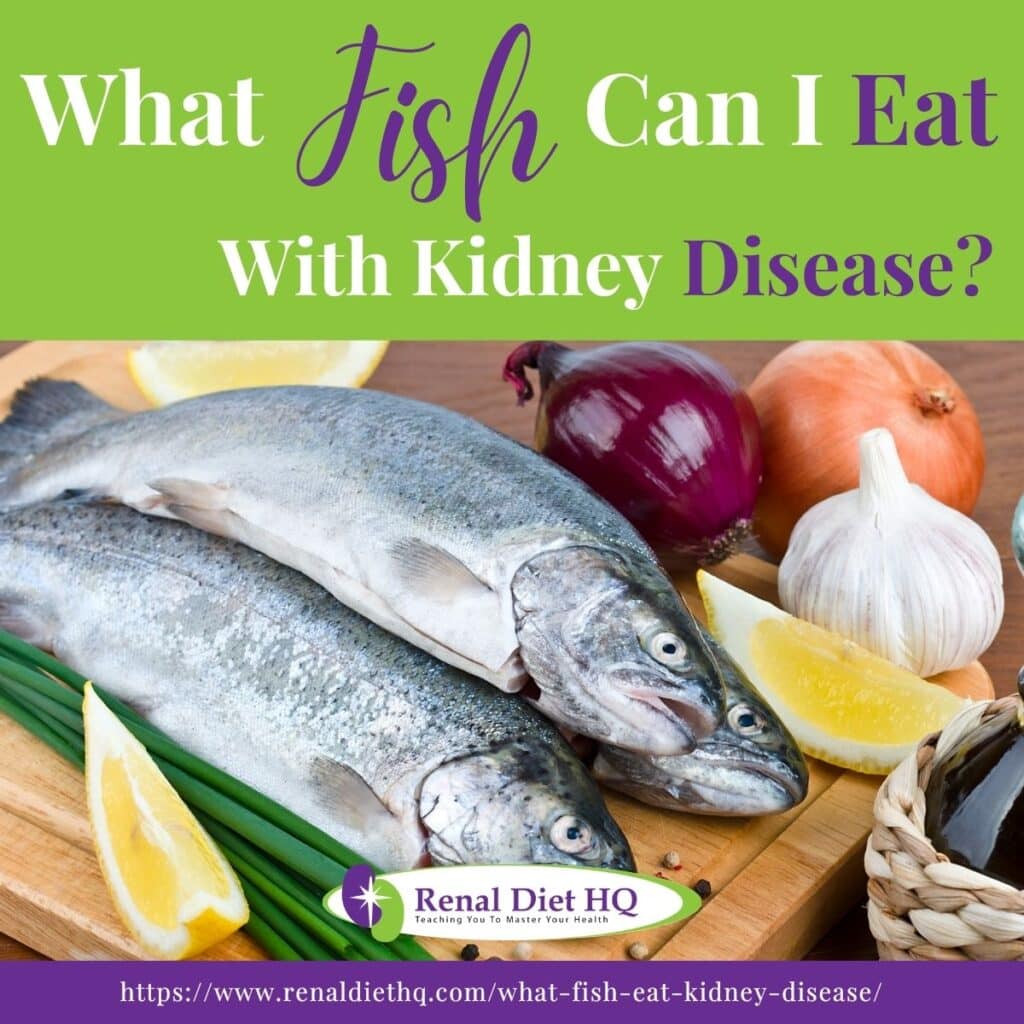 what-fish-can-i-eat-with-kidney-disease-renal-diet-hq